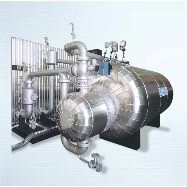 ICI Caldaie Evx Indirect Steam Generator